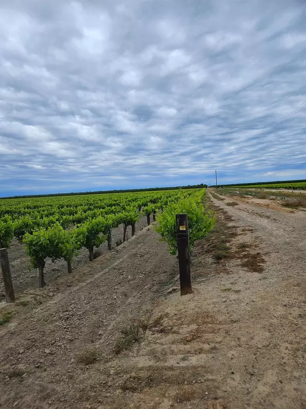 Madera, CA 93637,7517 Highway 145