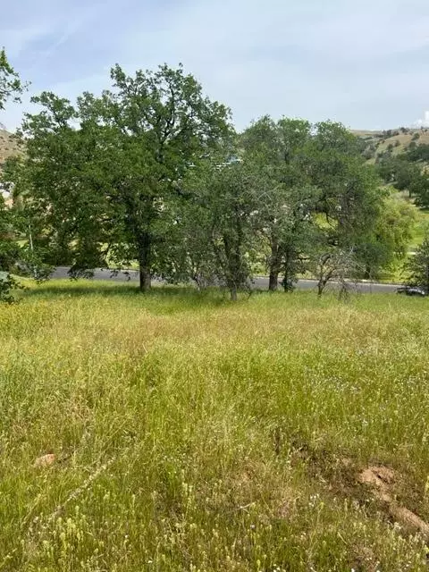 Friant, CA 93626,0 Fairway Oaks Ln Lot 02