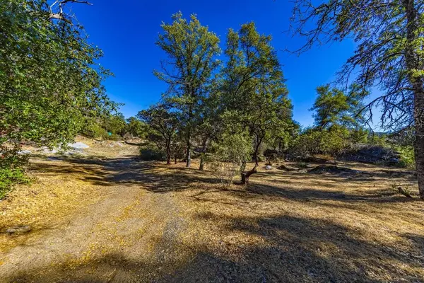 Mariposa, CA 95338,4200 Silver Lane RD