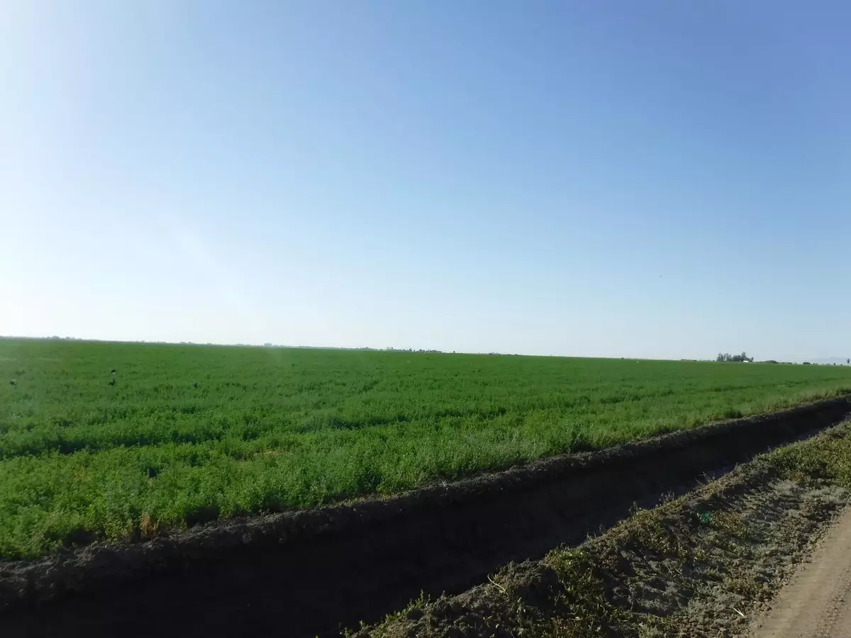 Firebaugh, CA 93622,0 Highway 33