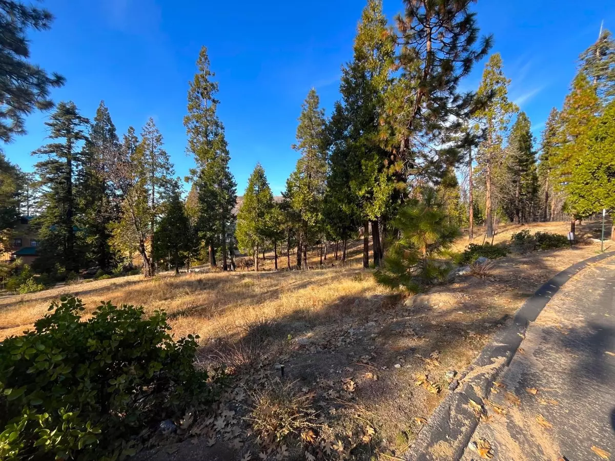 Shaver Lake, CA 93664,39604 Sunset Rock LN #14