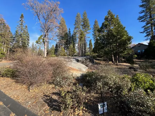 Shaver Lake, CA 93664,39621 Sunset Rock LN #48