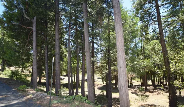 Shaver Lake, CA 93664,42436 Garnet LN #lot48