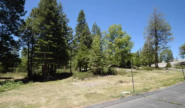 Shaver Lake, CA 93664,42884 Garnet LN #Lot37