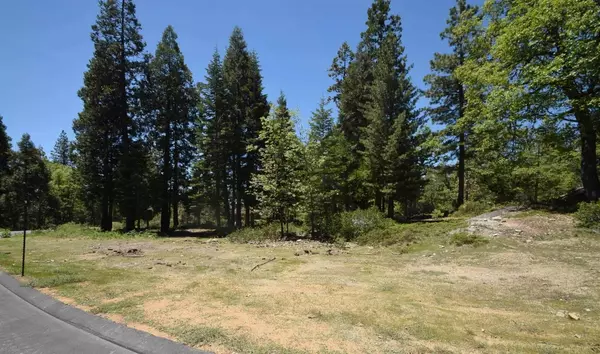 Shaver Lake, CA 93664,42884 Garnet LN #Lot37