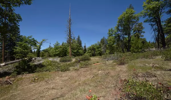 Shaver Lake, CA 93664,42251 Tourmaline LN #lot82