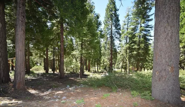 Shaver Lake, CA 93664,42036 Tourmaline LN #103