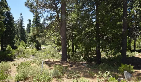 Shaver Lake, CA 93664,42084 Tourmaline LN #102