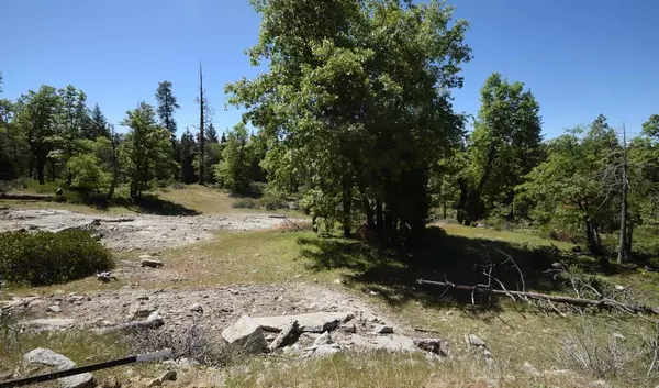 Shaver Lake, CA 93664,42302 Opal LN #lot72
