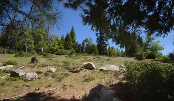 Shaver Lake, CA 93664,42387 Opal LN #lot61