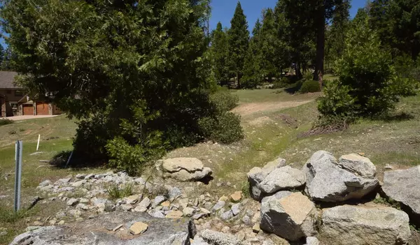 Shaver Lake, CA 93664,42101 Tourmaline LN #lot79