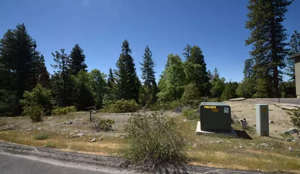 Shaver Lake, CA 93664,42456 Opal LN #lot69