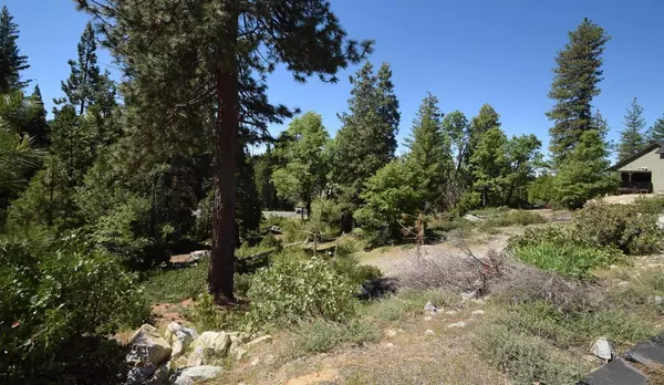 Shaver Lake, CA 93664,42456 Opal LN #lot69