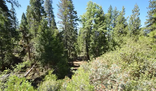 Shaver Lake, CA 93664,42506 Opal LN #lot68