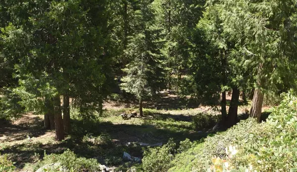 Shaver Lake, CA 93664,42506 Opal LN #lot68