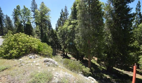 42506 Opal LN #lot68, Shaver Lake, CA 93664