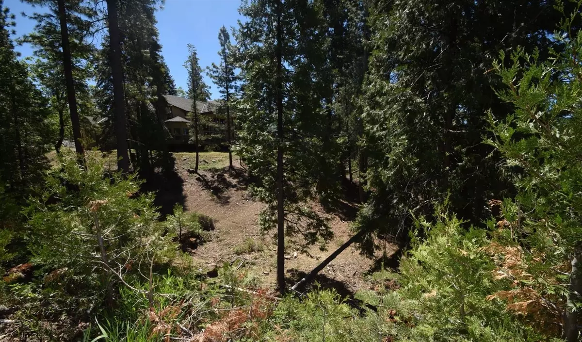 Shaver Lake, CA 93664,42568 Opal LN #lot67