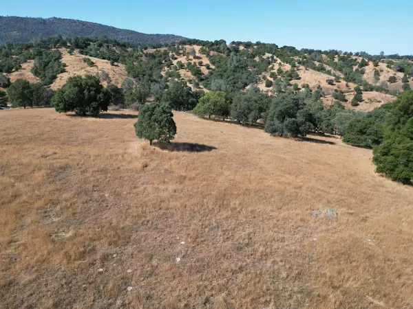 San Andreas, CA 95249,747 Garbarini RD