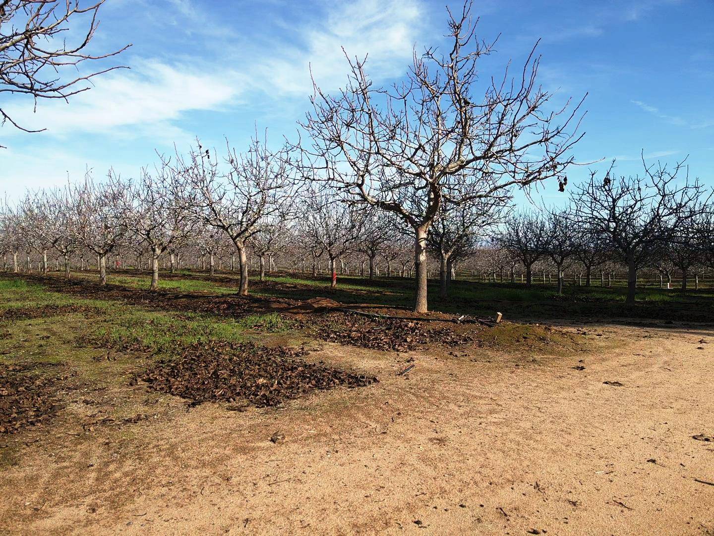 Madera, CA 93638,19599 Road 26