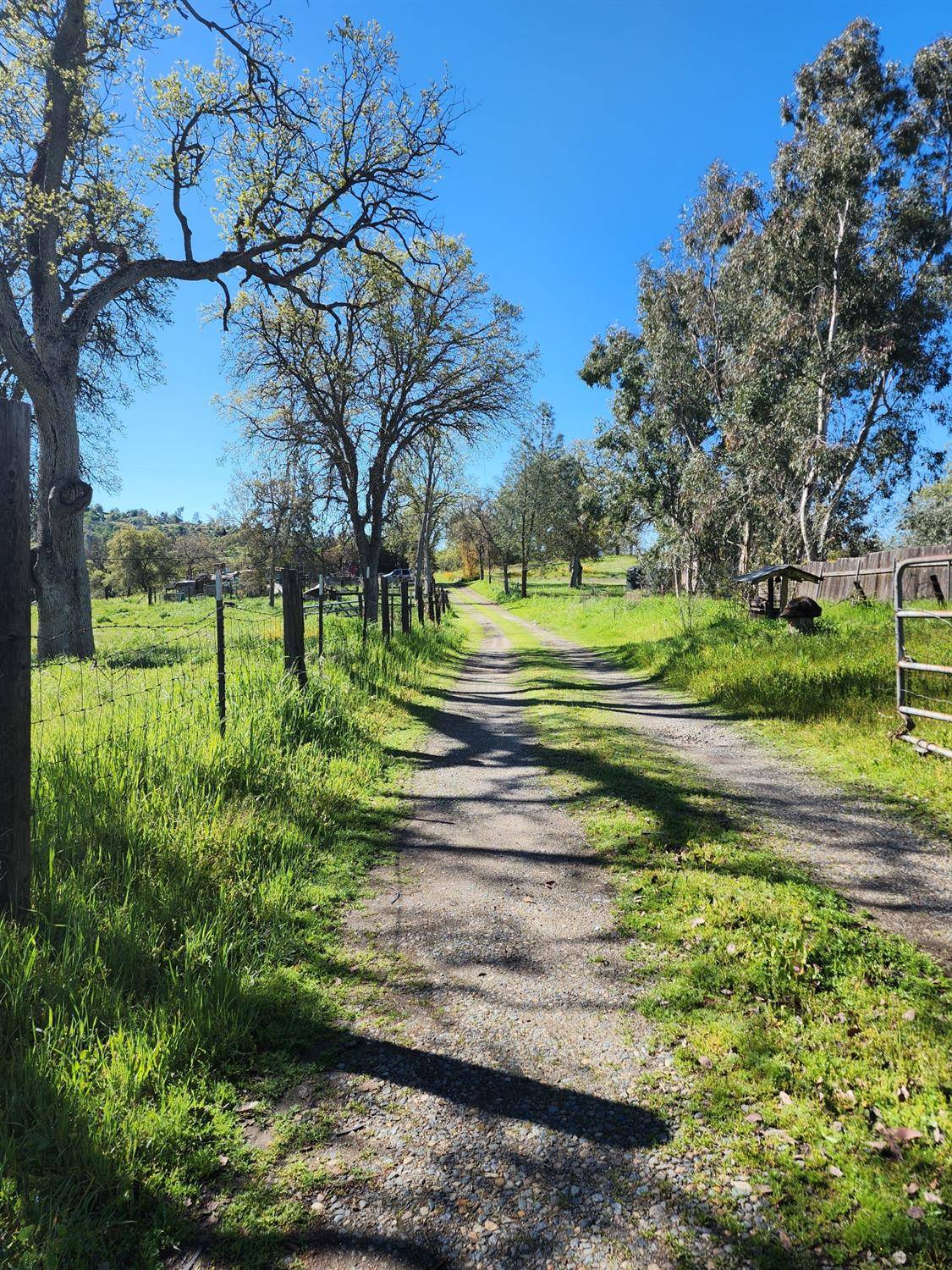 Clovis, CA 93619,25604 Auberry RD