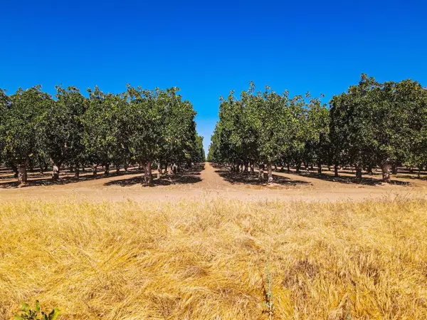 Madera, CA 93638,80 Avenue 21 1/2