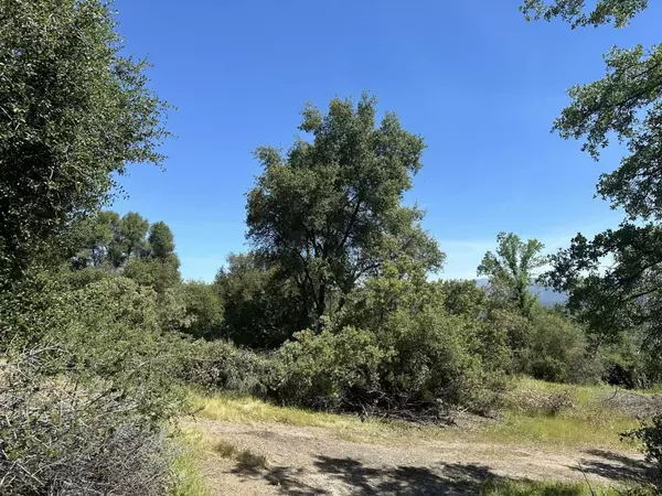 Oakhurst, CA 93644,0 Deerview LN