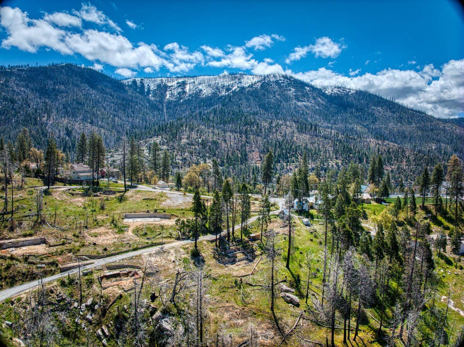 55277 Jungle Town LN, Big Creek, CA 93605