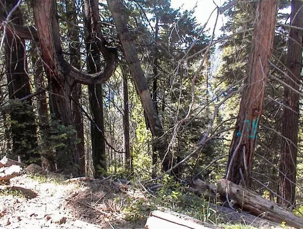 Miramonte, CA 93641,6200 Hwy 180