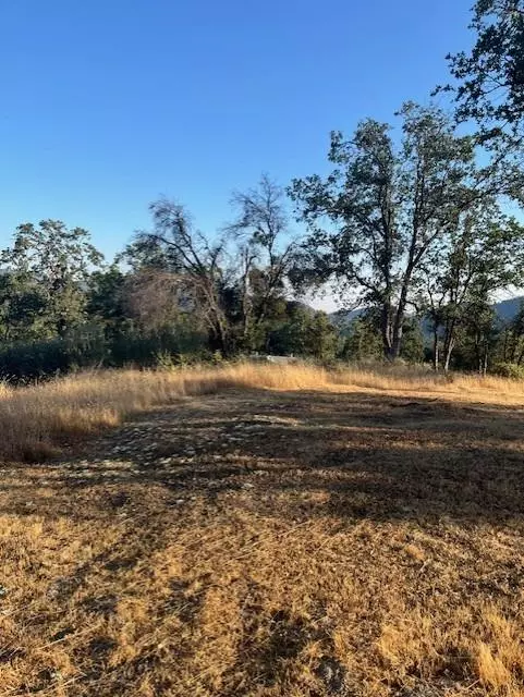 Ahwahnee, CA 93601,0 Knickerbocker