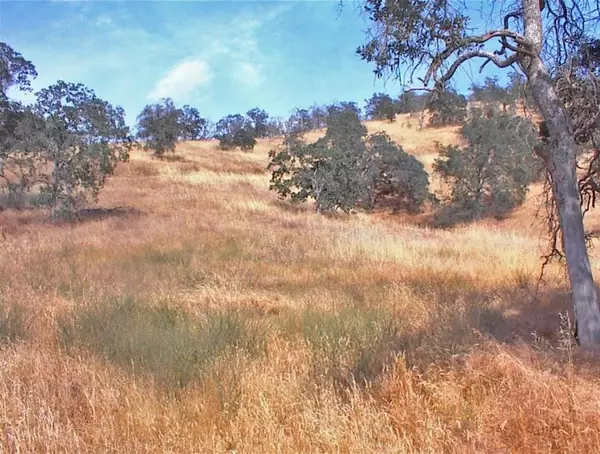 Yokuts Valley, CA 93675,297 Cougar