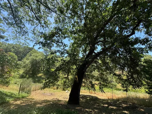 Miramonte, CA 93641,53804 N Hwy 245