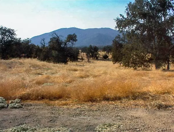 Squaw Valley, CA 93657,213 Bronco LN