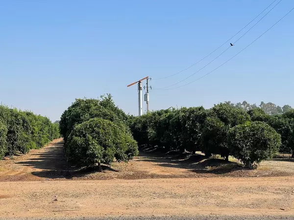 12484 E Ashlan AVE, Sanger, CA 93657