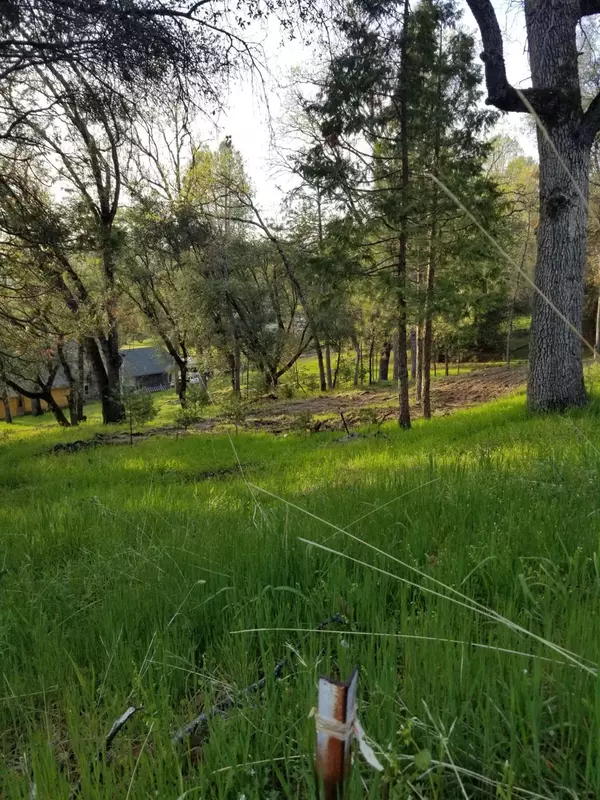 Oakhurst, CA 93644,1 Oak Lane-Apn 057-310-016 LN