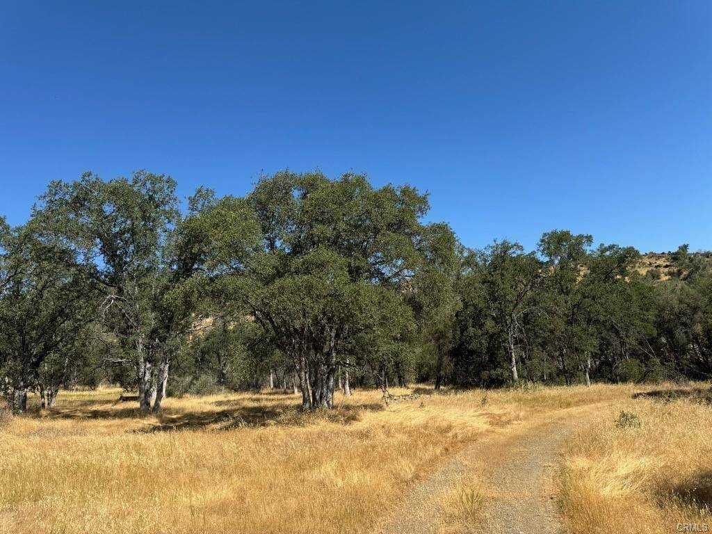Mariposa, CA 95338,4612 Bear Valley Rd.