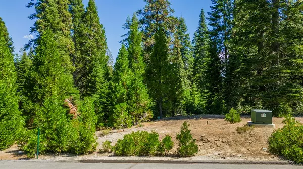 Shaver Lake, CA 93664,22 Foxglove LN