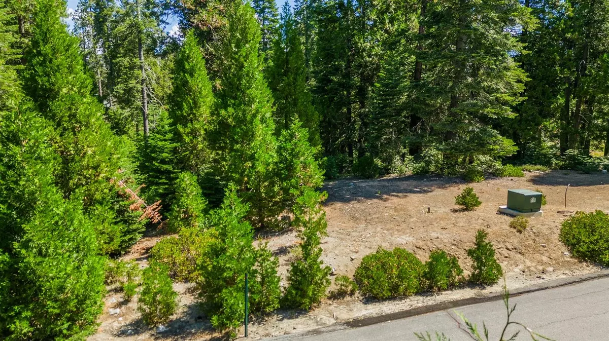 Shaver Lake, CA 93664,22 Foxglove LN