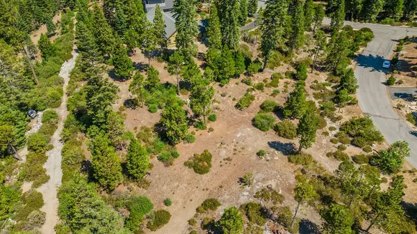 Shaver Lake, CA 93664,3738 Fawn Lily LN #37 38