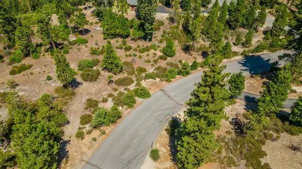 Shaver Lake, CA 93664,3738 Fawn Lily LN #37 38