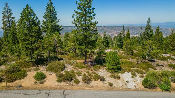 39 Fawn Lily LN, Shaver Lake, CA 93664