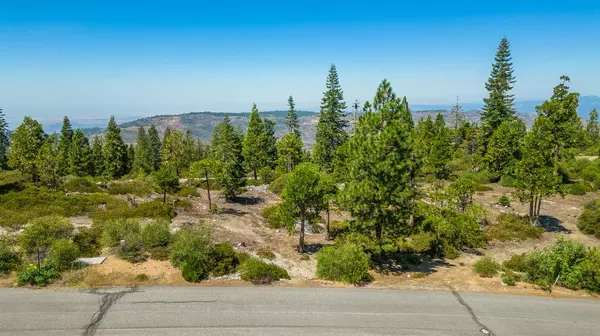 Shaver Lake, CA 93664,39 Fawn Lily LN