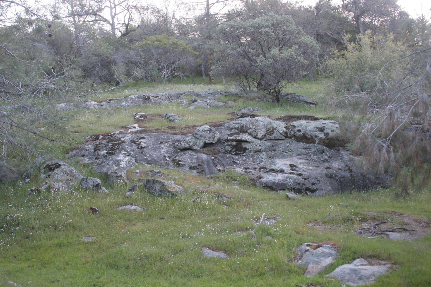 O Neals, CA 93645,0 Ward Mountain Dr.