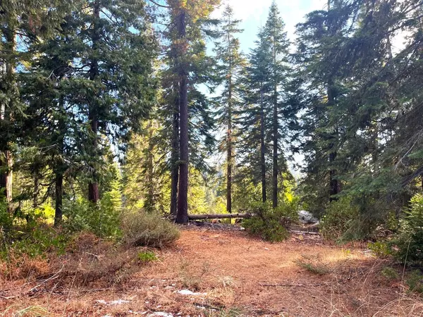 Shaver Lake, CA 93664,41714 Timber View LN #12