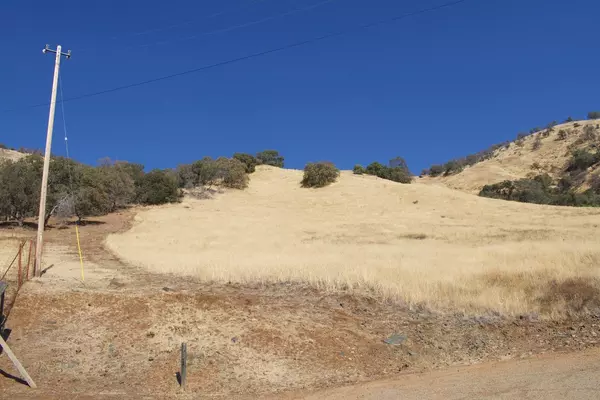 Yokuts Valley, CA 93675,0 Crane LN