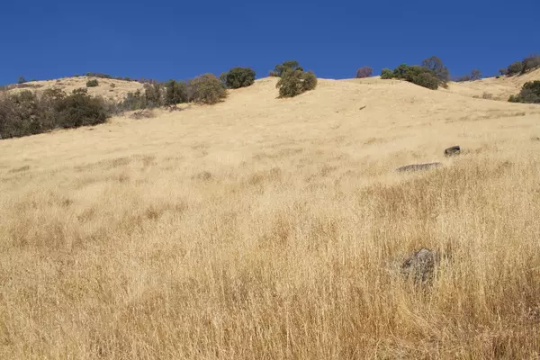 Yokuts Valley, CA 93675,0 Crane LN