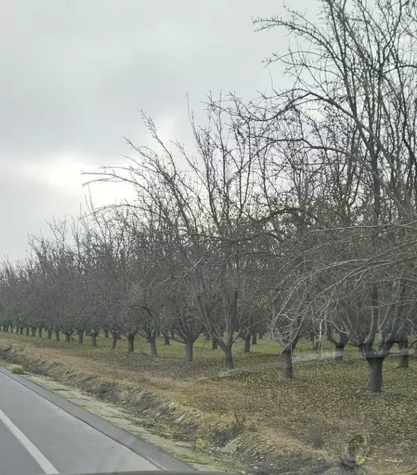 Kerman, CA 93630,0 Whitesbridge