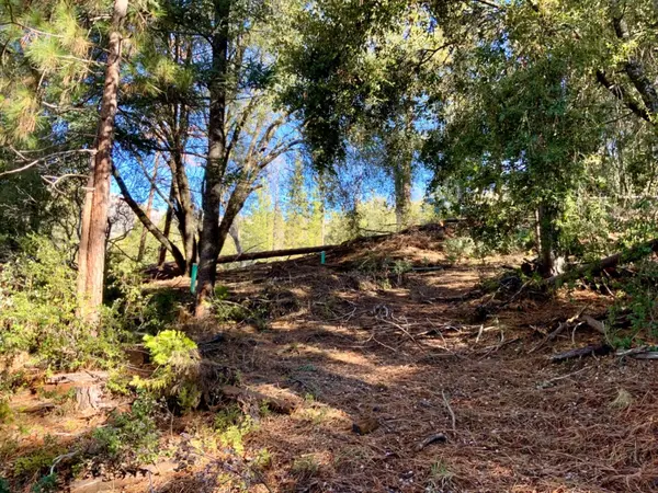 Oakhurst, CA 93644,50963 Chu Ranch RD