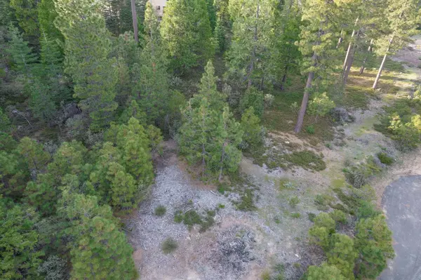 Shaver Lake, CA 93664,0 Leopard Lilly Ln