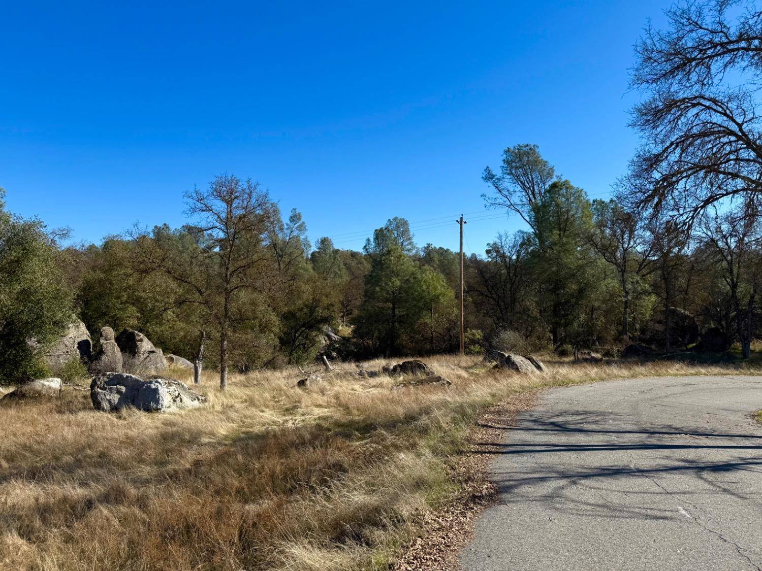 Mariposa, CA 95338,4541 Little Buck RD