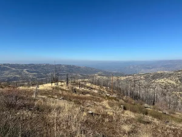 Shaver Lake, CA 93664,39915 Big Shuteye LN